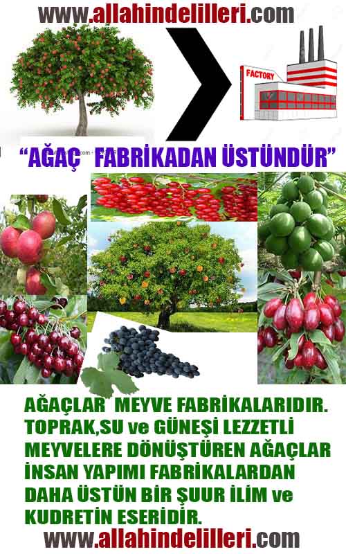 Eğitici Görsel 1