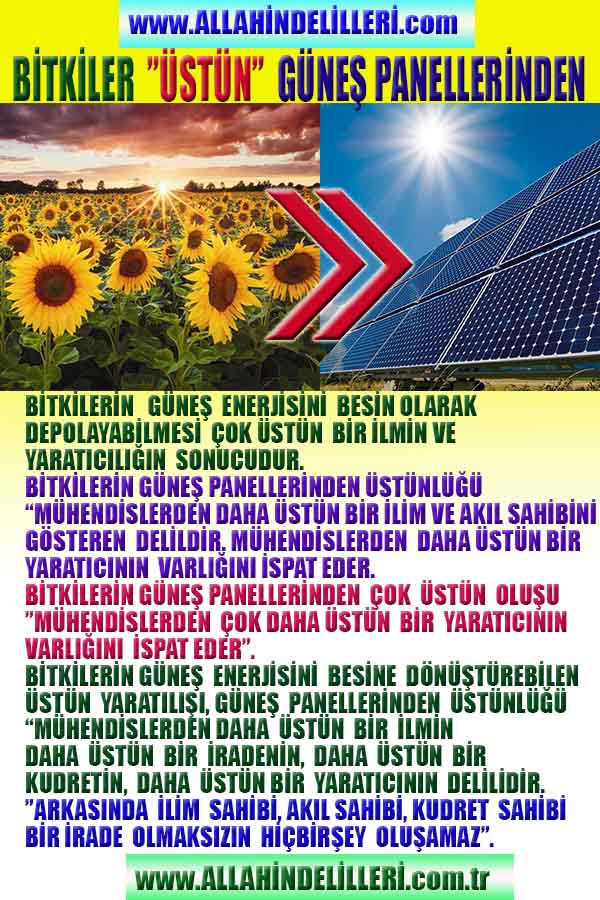 Eğitici Görsel 2