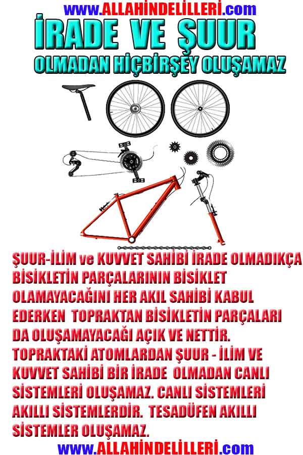 Eğitici Görsel 1