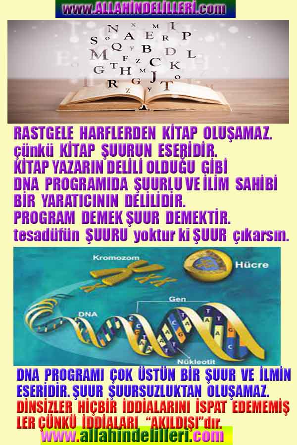 Eğitici Görsel 1