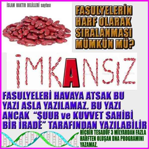 Eğitici Görsel 2