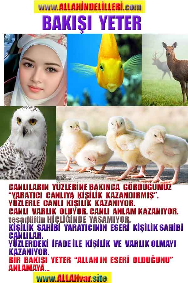 Eğitici Görsel 2