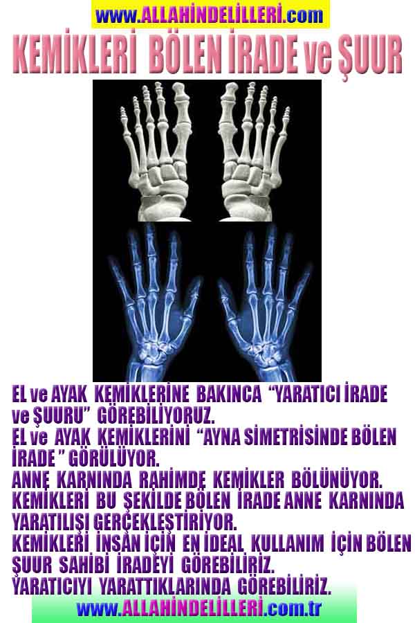 Eğitici Görsel 2