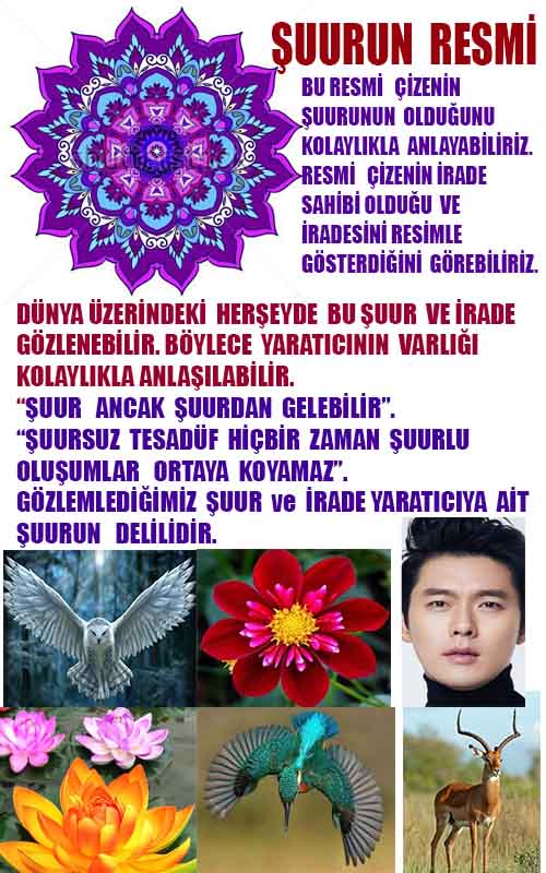 Eğitici Görsel 1