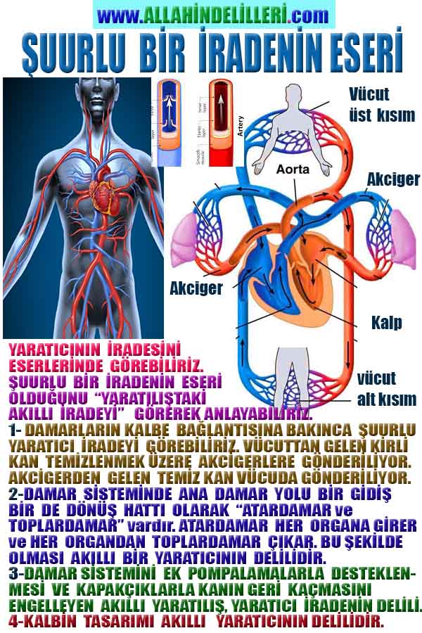 Eğitici Görsel 2