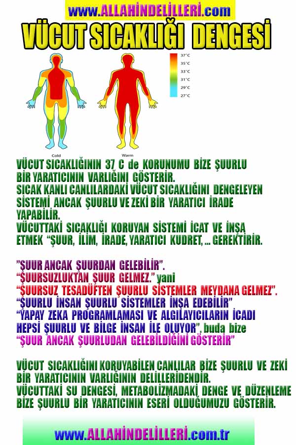 Eğitici Görsel 2