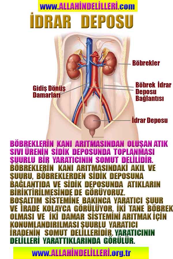 Eğitici Görsel 1