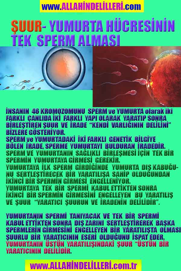 Eğitici Görsel 2