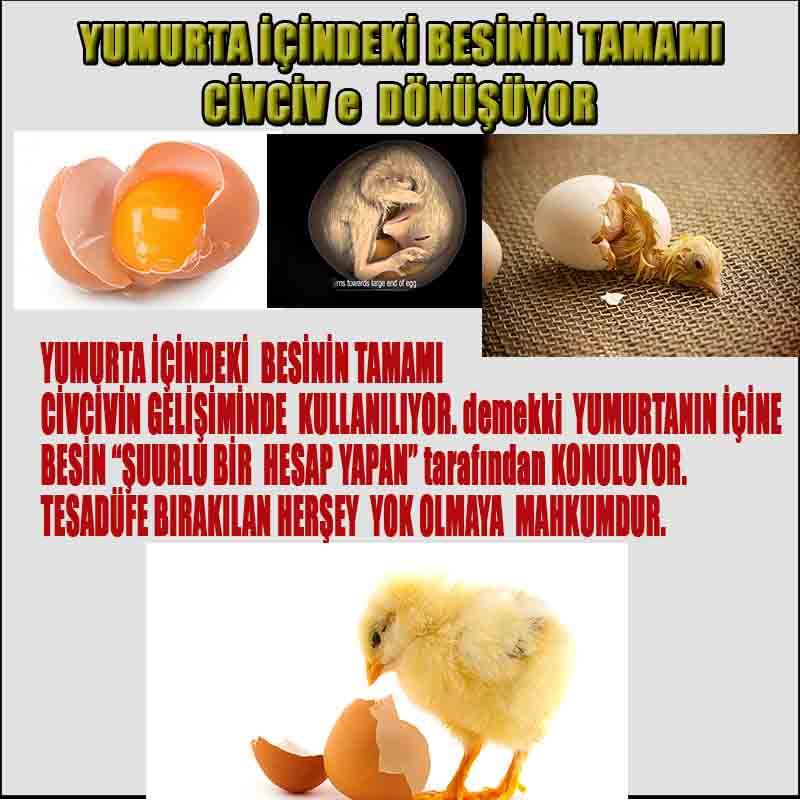 Eğitici Görsel 1