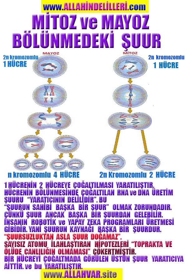 Eğitici Görsel 2