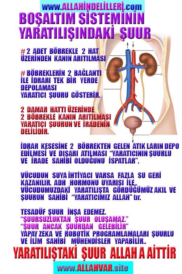 Eğitici Görsel 2
