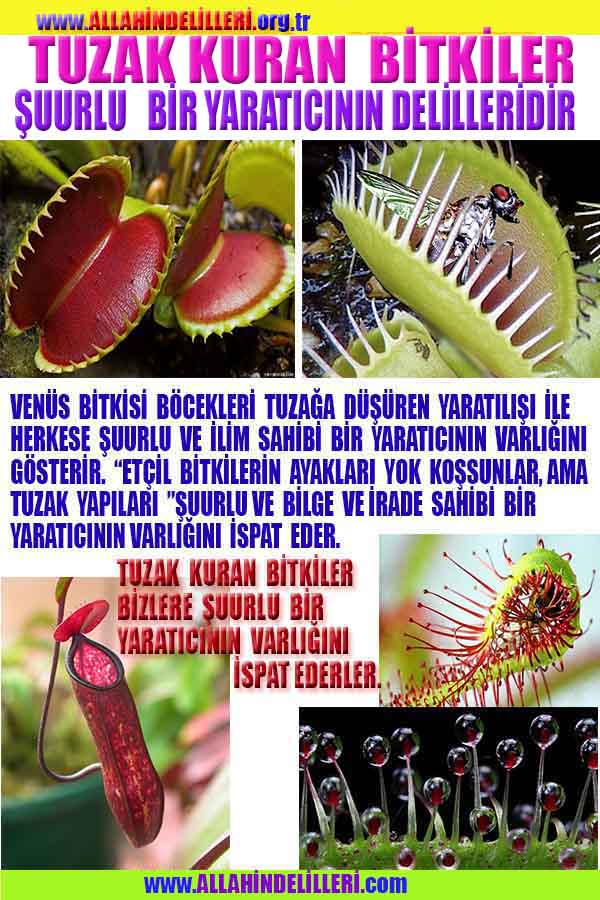 Eğitici Görsel 1