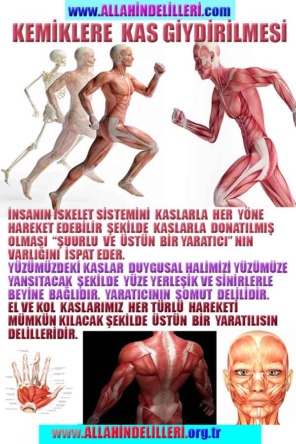 Eğitici Görsel 2