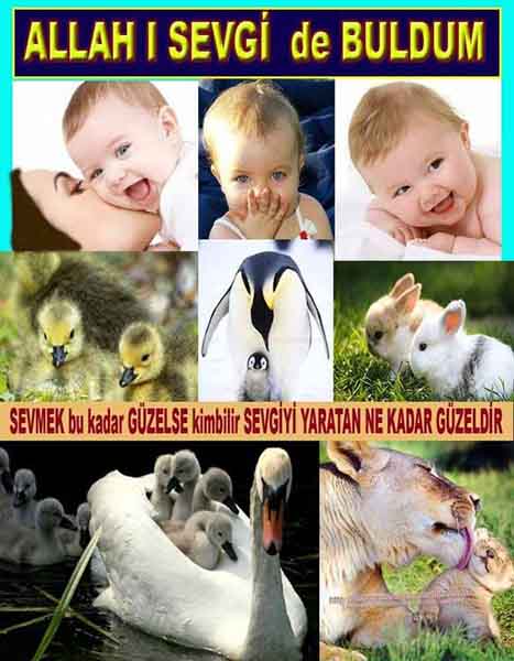 Eğitici Görsel 2
