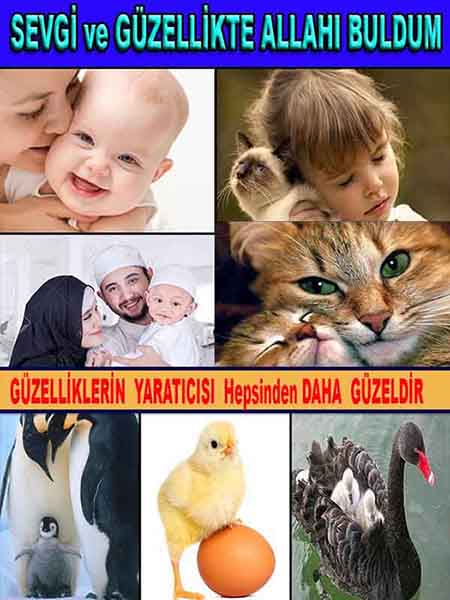 Eğitici Görsel 2