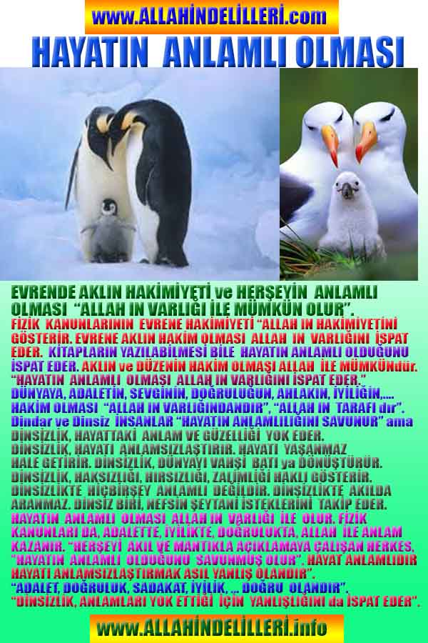 Eğitici Görsel 1